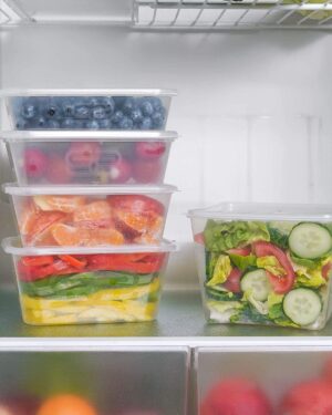 Disposable plastic containers for storing food